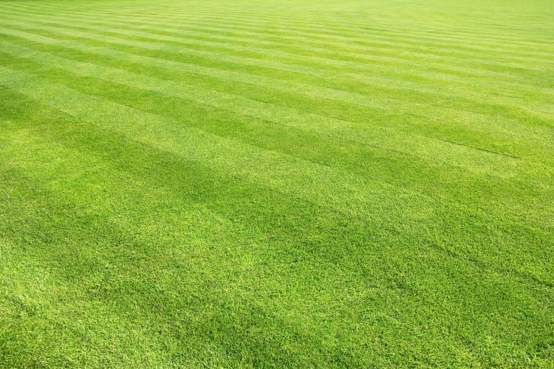 Lawn After Mowing