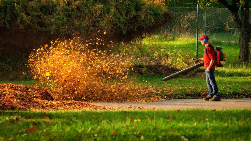 Leaf Mowing