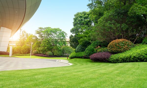 Cost of Commercial Lawn Mowing in Fayetteville