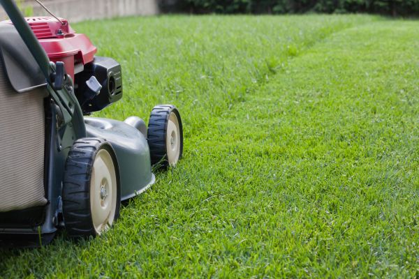 Lawn Care Service in Fayetteville