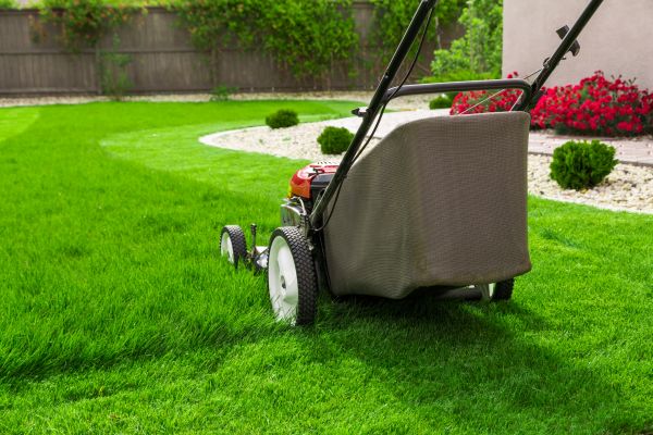 Cost of Lawn Mowing in Fayetteville