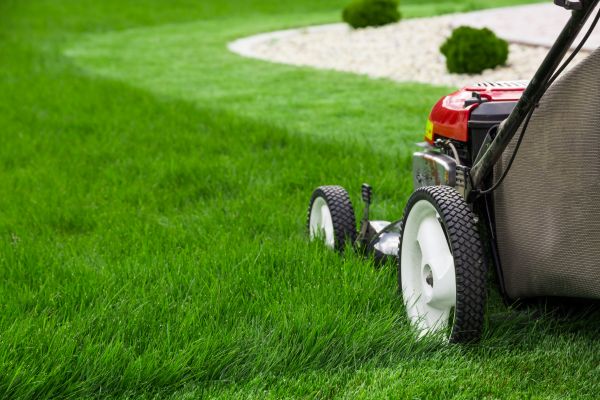 Mowing Service in Fayetteville