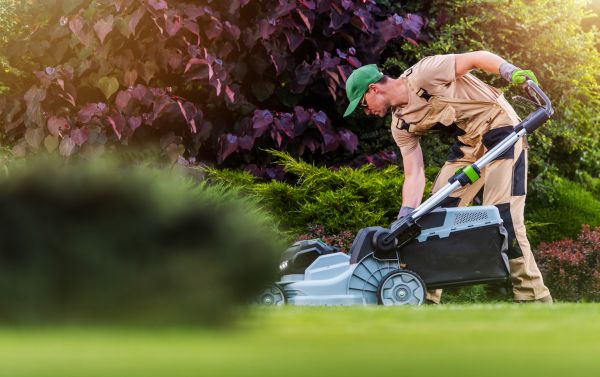Yard Care Service in Fayetteville